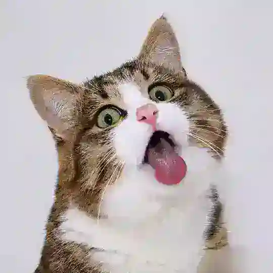 Dump file 🗃️ Telegram channel
