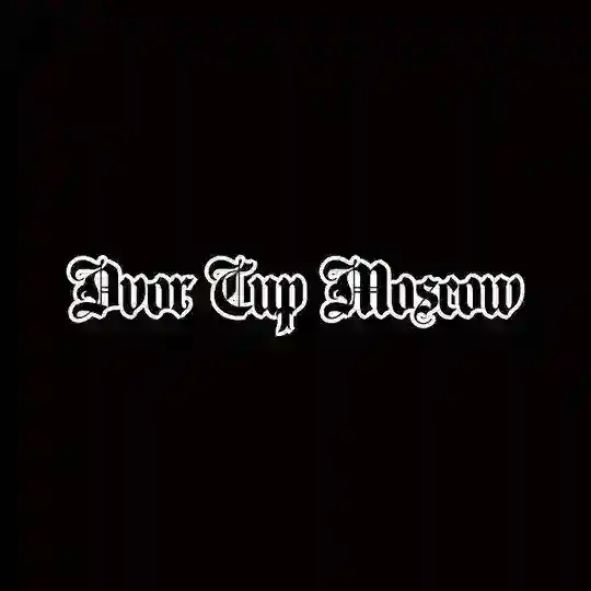 DVOR CUP Telegram Channel Avatar