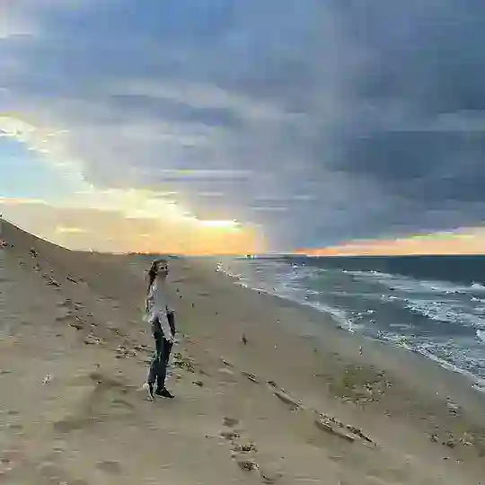 Рисовое поле этнографа Telegram Channel Avatar