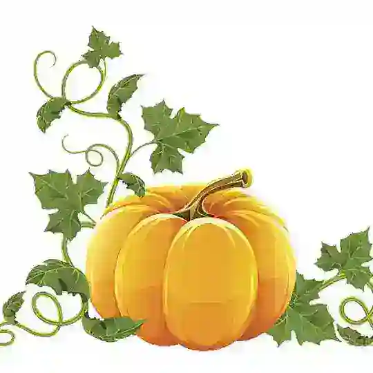 Farm BNB Telegram Channel Avatar