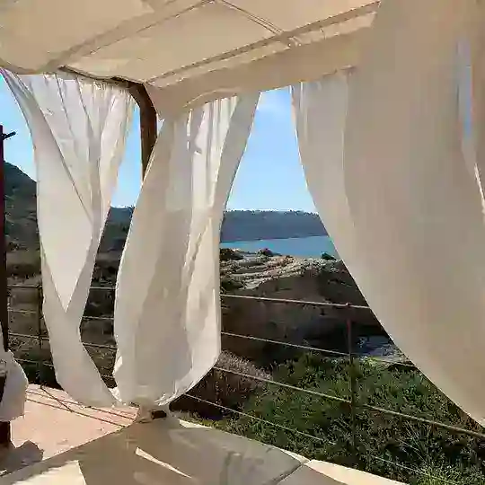 🕊 Happiness is the way 🕊 Telegram Channel Avatar