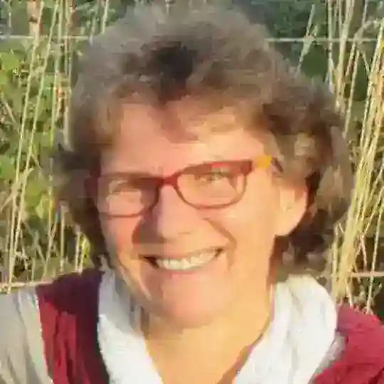 Homeschooling wagen Telegram Channel Avatar