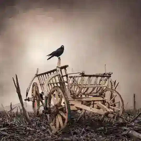 Телега страховщика Telegram Channel Avatar
