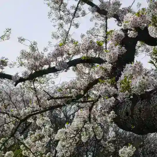 隠れ場・Kakureba Telegram Channel Avatar