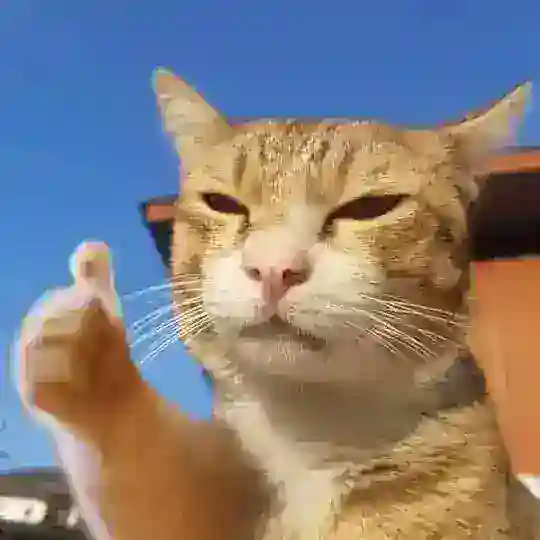 Chia Sẻ Khuyến Mãi 🧧 Telegram Channel Avatar