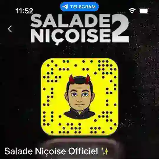 Salade Niçoise Telegram Channel Avatar
