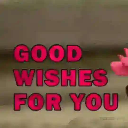 All Good Wishes 🌼🌿 Telegram Channel Avatar