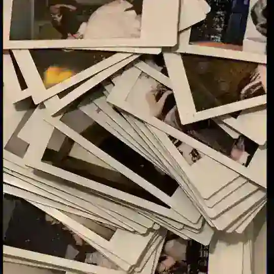 printing polars Telegram Channel Avatar