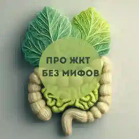 Про ЖКТ без мифов | Людмила Оккель Telegram Channel Avatar