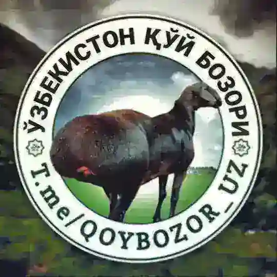 ЎЗБЕКИСТОН ҚЎЙ БОЗОРИ | Расмий канал Telegram Channel Avatar