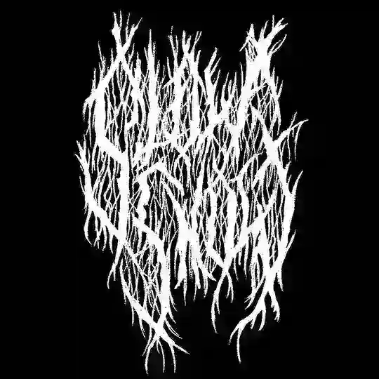 SlowSnowrecords Telegram Channel Avatar