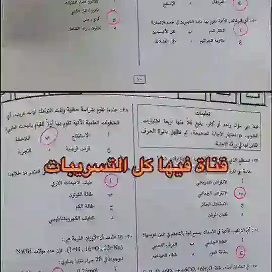 تسريبات تحصيلي Telegram Channel Avatar