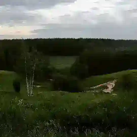 Превращения и Поглощения Telegram Channel Avatar