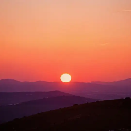 Wild horizons Telegram channel