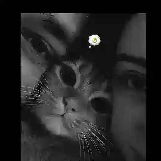 ᴋᴀʟᴘ ʏᴀʀᴀᴤɪ Telegram Channel Avatar
