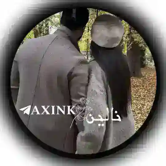 𝐀 𝐗 𝐈 𝐍 𝐊 | نـاڵـیـن Telegram Channel Avatar