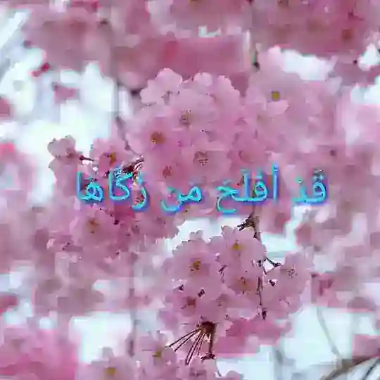 🌸تزكية النفوس🌸 Telegram Channel Avatar