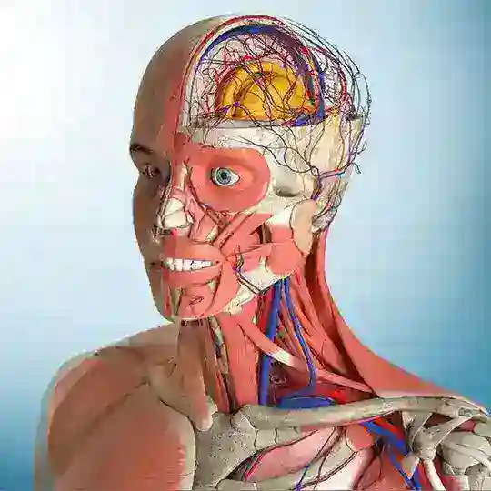 Anatomía Humana Telegram Channel Avatar