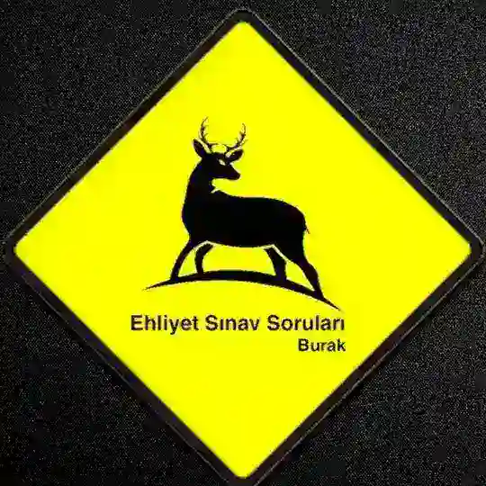 Ehliyet Sınav Soru Paylaşımı Telegram Channel Avatar
