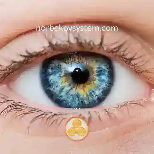 Augentraining, SEHEN OHNE BRILLE nach der Norbekov Methode Telegram Channel Avatar