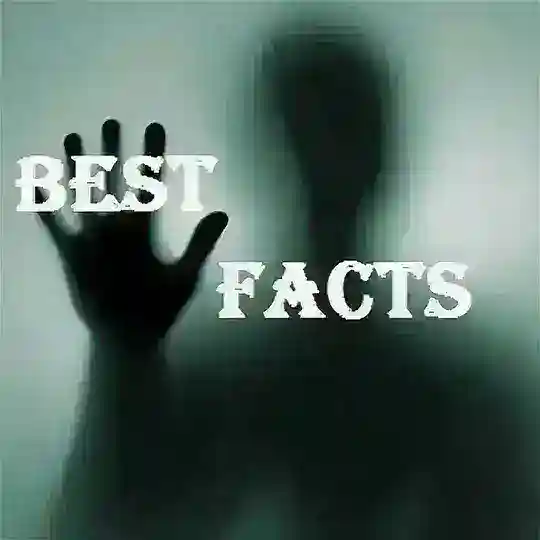 Best Facts Telegram Channel Avatar