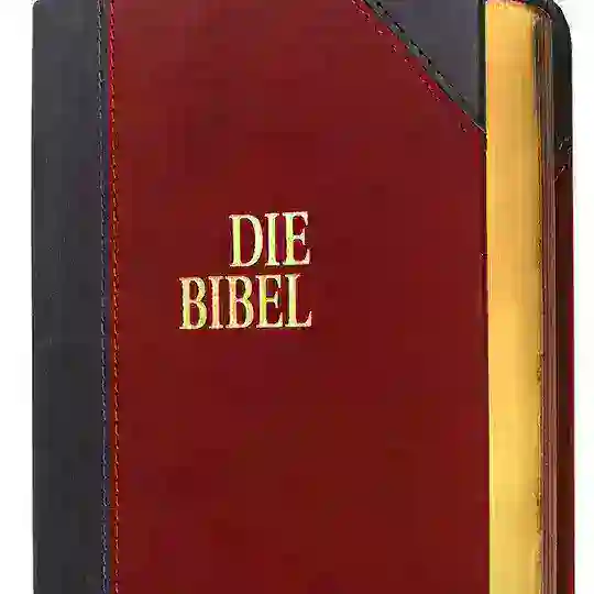 Bibel Hörbuch (Schlachter 2000) Telegram Channel Avatar