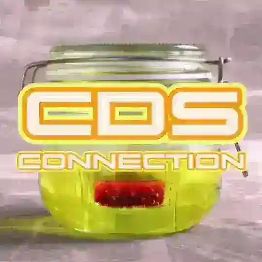 CDS connection Telegram Channel Avatar