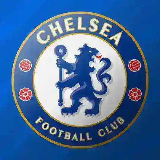 CFC.uz | Rasmiy Kanal [Vizitka] Telegram Channel Avatar