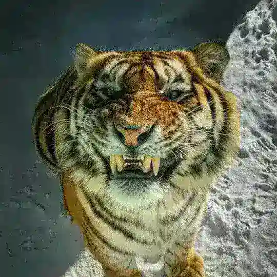 চানাচুর Update 🙂 Telegram Channel Avatar