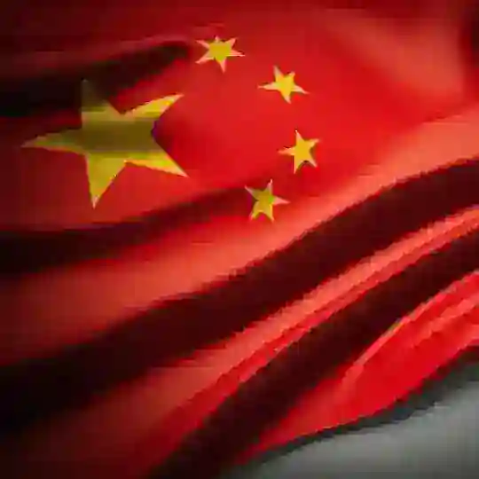 中國和亞洲鯨魚 CHINESE CALLS Telegram Channel Avatar