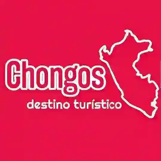 Chongos Peru Telegram Channel Avatar