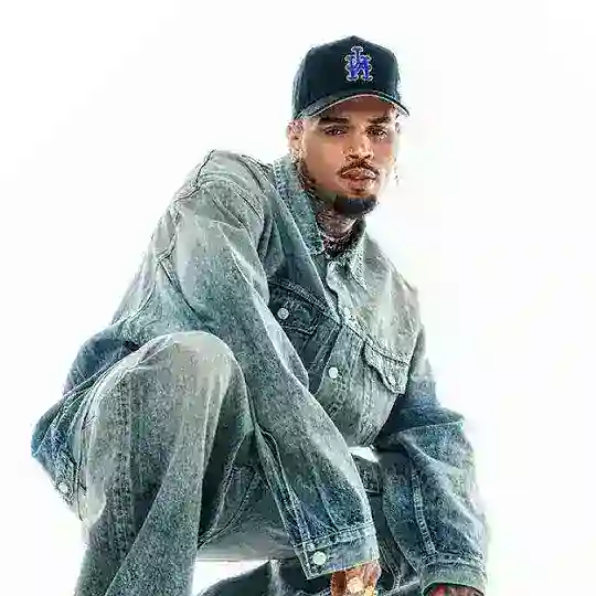 Chris Brown (Album Brown) Telegram Channel Avatar