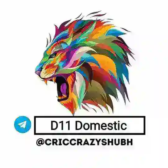 D11 Domestic Telegram Channel Avatar