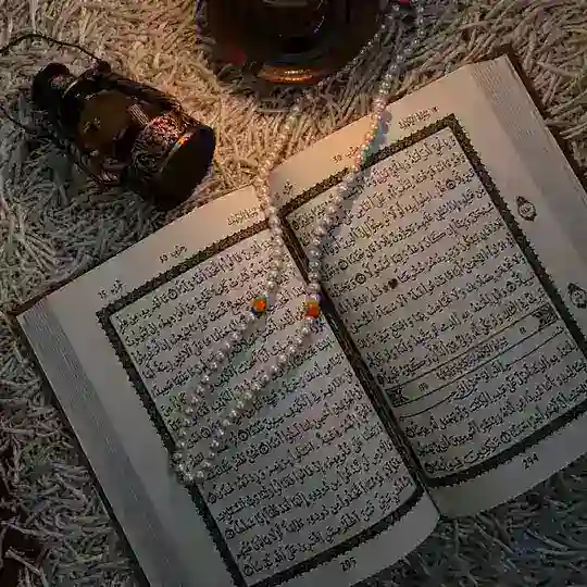الورد اليومي | القرآن الكريم Telegram Channel Avatar
