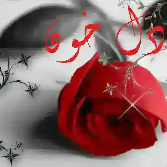 💔️دل خون️💔 Telegram Channel Avatar