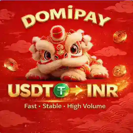 DomiPay 🇮🇳India pays USDT to exchange for INR Telegram channel