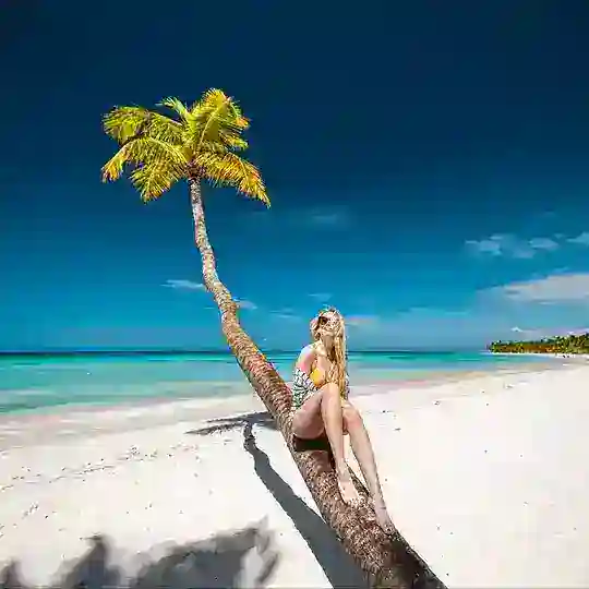 Пляжи Доминиканы * Beaches of the Dominican Republic Telegram Channel Avatar