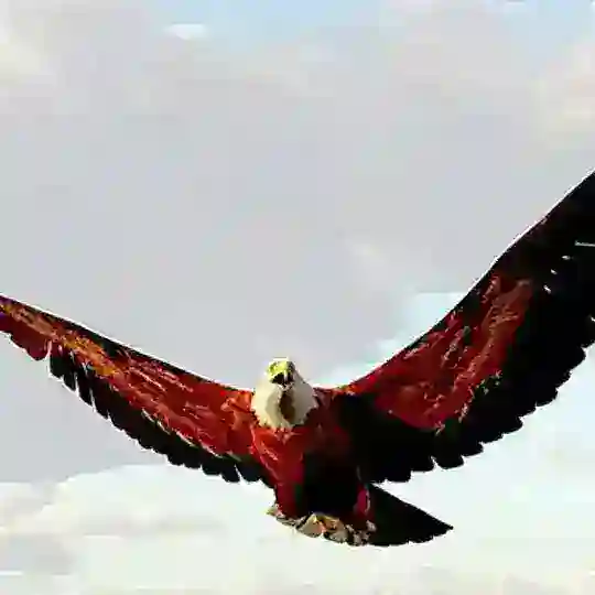 Endlichfrei Telegram Channel Avatar