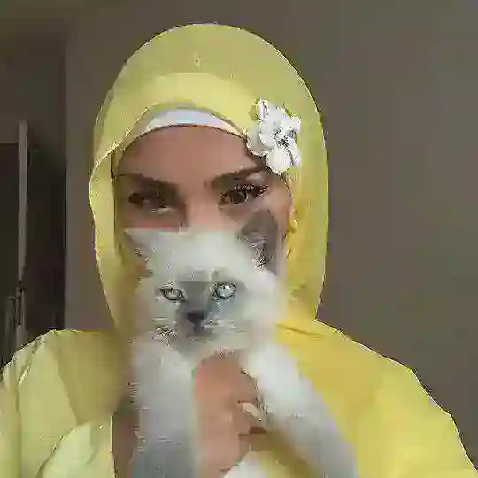 استثمار وتداول ارباح فلوس • Telegram Channel Avatar