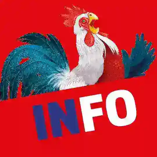 Un pour tous, tous souverains 🇫🇷 Telegram Channel Avatar