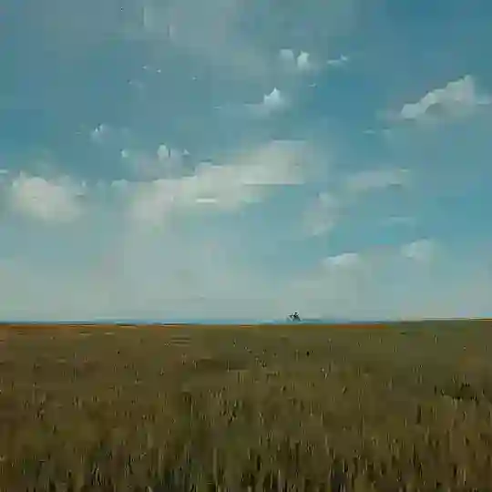 Türkiye'den Kareler ️ Telegram Channel Avatar