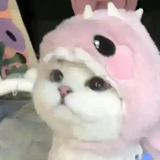 【海外抖音】Tiktok、Facebook(脸书)、ins-LiNE-友缘-Dating约会社交账户Vkontakte Telegram Channel Avatar