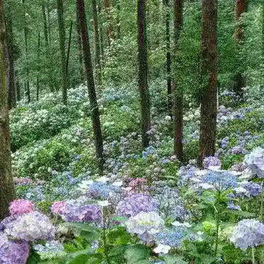 💖🌸Naturheilung und Seelenfrieden🌸💖 Telegram Channel Avatar