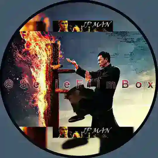 🇫🇷 IP MAN VF FRENCH QUADRULOGIE / YOUNG IP-MAN / MASTER Z Telegram Channel Avatar