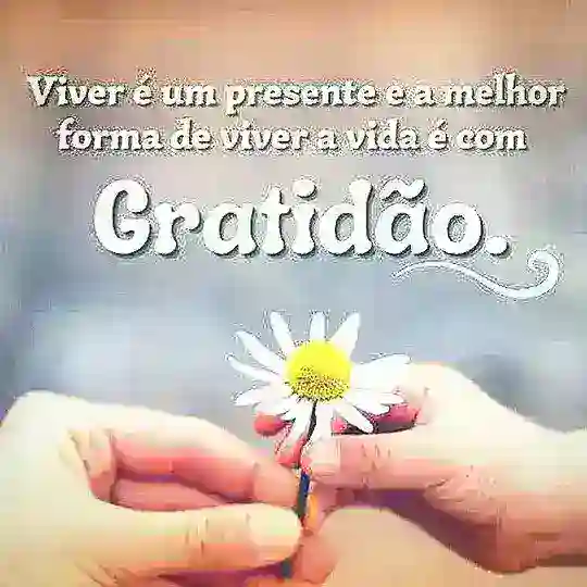 🙏🏻 𝗜𝗻𝗳𝗶𝗻𝗶𝘁𝗮 𝗚𝗿𝗮𝘁𝗶𝗱𝗮̃𝗼 🙏🏻 Telegram Channel Avatar