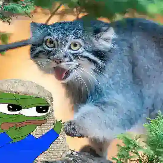 Judge Frog’s S’more Cult Telegram Channel Avatar