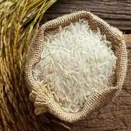 Karung Beras Telegram Channel Avatar