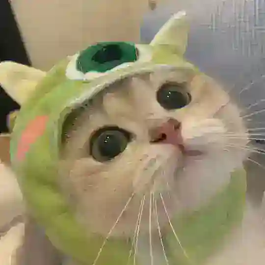 King内核官方频道 Telegram Channel Avatar