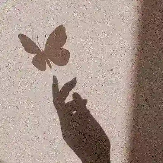 La Danza delle Sfere ✨ Telegram Channel Avatar