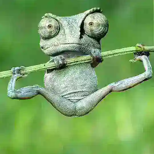 Lach- und Krachgeschichten Telegram Channel Avatar